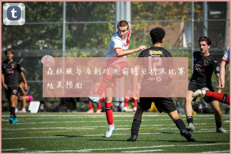 森林狼与马刺对决前瞻分析及比赛结果预测