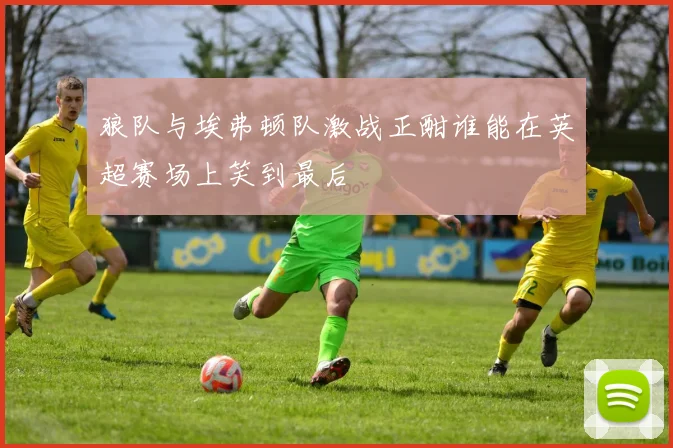 狼队与埃弗顿队激战正酣谁能在英超赛场上笑到最后